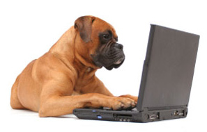 pc-laptop-dog